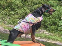 -安吉龙王山峡谷漂流