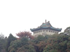 -武汉大学-樱园