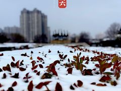 -洛阳周王城天子驾六博物馆