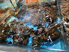 -渔乐圈海鲜餐厅(群力金江路店)