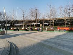 -紫荆广场·花漫里