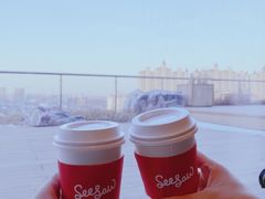 -Seesaw Coffee(朝阳大悦城店)