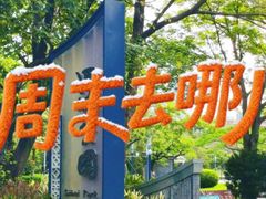 -四海公园(南山区)