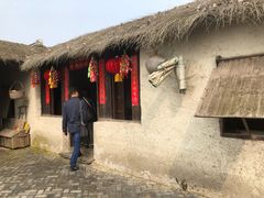 -溱湖国家湿地公园