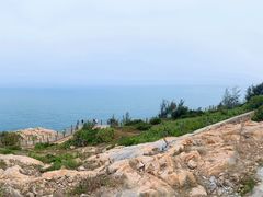 -广东惠东海龟国家级自然保护区