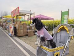 -中国天府农业博览园