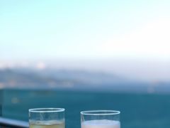-芽庄喜来登水疗酒店