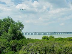 -宝安西湾红树林湿地公园