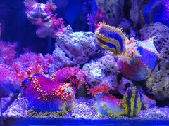 -太平洋海底世界