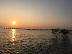 -宝安西湾红树林湿地公园