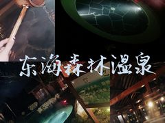 -东海森林温泉度假酒店