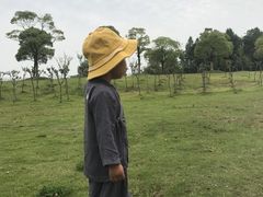 -漕湖湿地公园