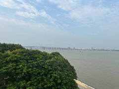 -大湾区中央湿地公园