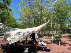 -天津东丽湖风景区