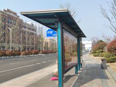 -星光岛
