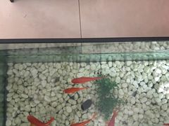 -金刚山(学府路店)