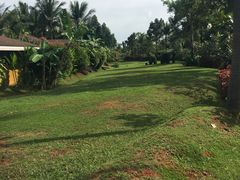 -椰树岛海滩度假村