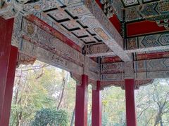 -紫霞湖公园