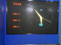 -北京八中游泳馆