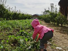 -大连北马山庄