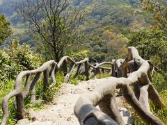 -梧桐山风景名胜区