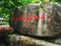 -广州市流溪河国家森林公园