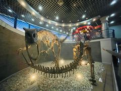 -国家自然博物馆