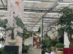 -荷兰花海