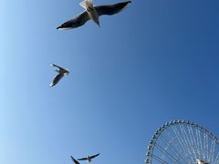 -蠡湖大桥公园