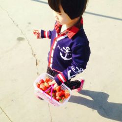 -蓝呗呗蓝莓草莓采摘园(通州区马驹桥店)