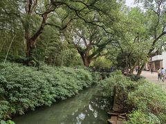 -古堰画乡景区