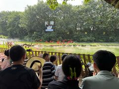 -广州长隆飞鸟乐园