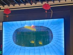 -九子跳跳蛙(石牌东店)