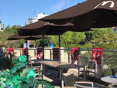 -麦当劳(塔园路店)