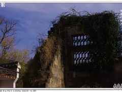 -塔川景区
