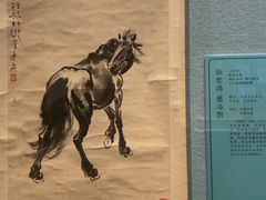 -辽宁省博物馆