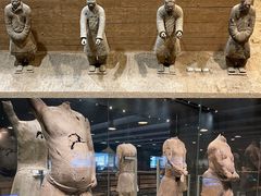-秦始皇帝陵博物院-丽山园