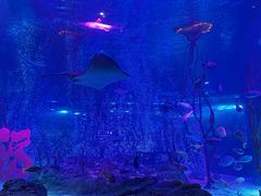 -沈阳海洋探索中心