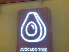 -油梨树AVOCADO TREE(嘉里中心店)