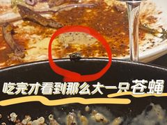 -候鸟等风来·精致西厨(万科第五城店)