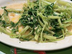 -广九餐室(陈家祠扬韬广场店)