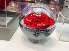 -ROSEONLY诺誓(广州K11店)