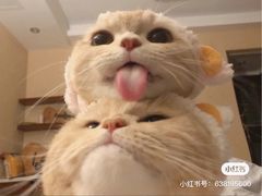 -南京时尚莱迪购物广场(正洪街店)