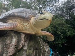 -海合安成都极地海洋公园