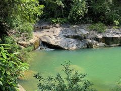 -广州白江湖森林公园