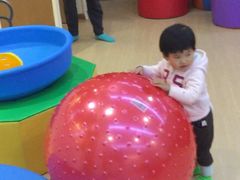 -自然树儿童之家(海珠翠城花园托育.早教校区)