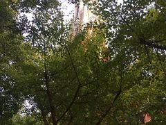 -华东政法大学(松江校区)