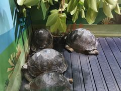 -珠海长隆海洋王国