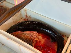 -江湖水乡铁锅炖魚(周庄嘉园店)