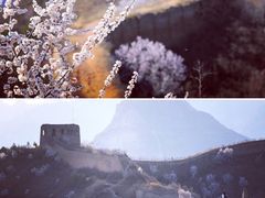 -蟠龙山长城景区